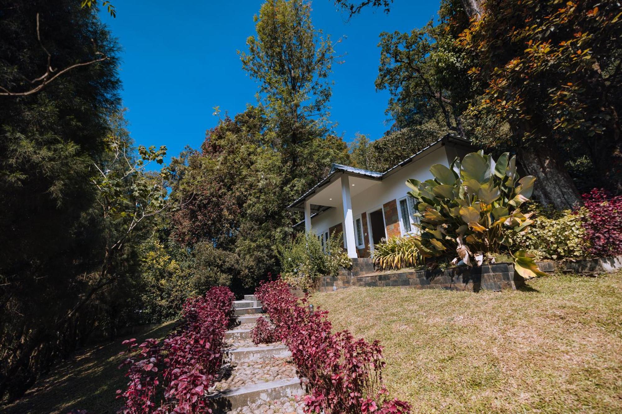 Elixir Woods Luxury Resort And Spa, Munnar Dış mekan fotoğraf