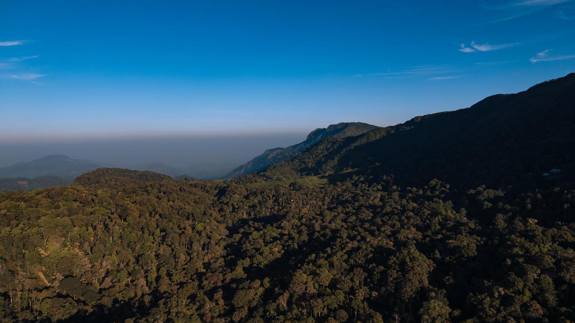 Elixir Woods Luxury Resort And Spa, Munnar Dış mekan fotoğraf