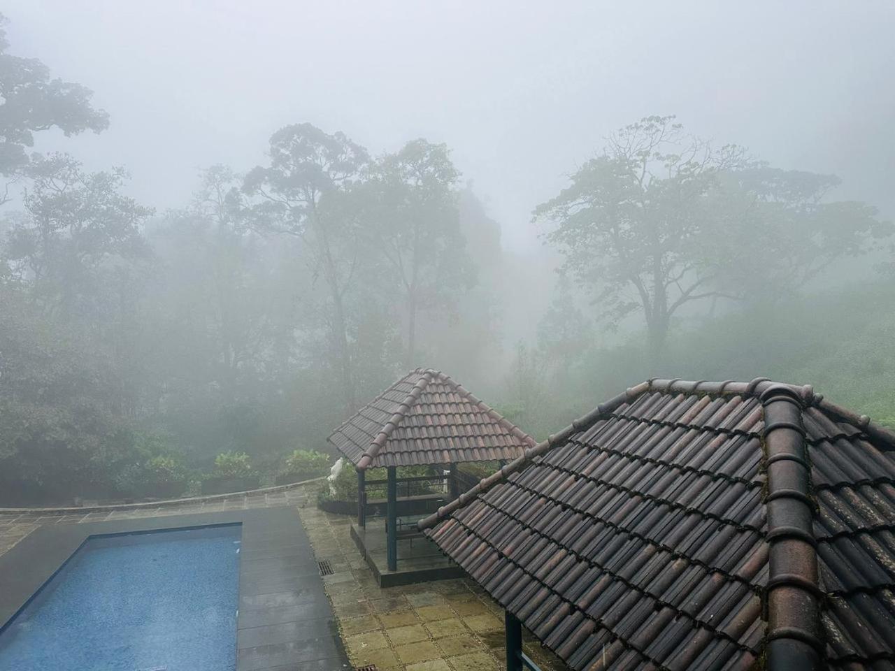 Elixir Woods Luxury Resort And Spa, Munnar Dış mekan fotoğraf